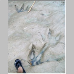 100_0573 (2009-26-07)m.JPG